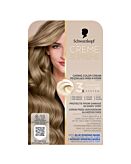 Schwarzkopf Creme Supreme, Tinta per capelli, 8-16 Biondo Chiaro Cenere Freddo