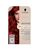 Schwarzkopf Creme Supreme, Tinta per capelli, 6-88 Biondo Scuro Rosso