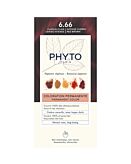 Phyto Color Tintura per capelli 6.66, Biondo Ramato Scuro Intenso
