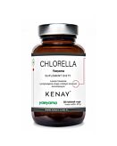 Kenay Suplement diety chlorella yaeyama tabletki
