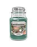 Yankee Candle Candela Home Inspiration Winter Fir, 538 g