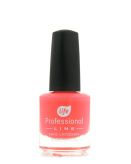 Life Professional Lakier do paznokci, nr 110 