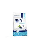 Allnutrition Whey Delicious Bluberry Odżywka Białkowa, proszek 700g