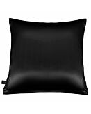 Cat&Cat Federa di Seta 40 X