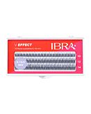 IBRA Kępki V Effect C MIX