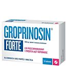 Groprinosin Forte 1000 mg, 10 tabl.