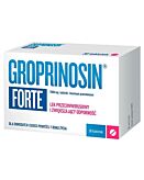 Groprinosin Forte 1000 mg, 30 tabl.