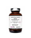 Kenay Kadzidłowiec ApresFlex Ekstrakt Boswellia serrata