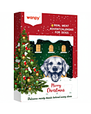 Wanpy Calendario dell'Avvento, Cane