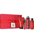 Rituals Il Ritual Of Ayurveda Piccolo Set Regalo