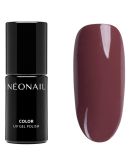 Neonail Smalto Ibrido Reach Your Top