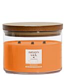 Woodwick Natures Wick Candela in Vetro con 3 Stoppini in Legno Arancia Papaya