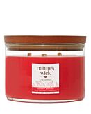 Woodwick Natures Wick Świeca w Szkle z 3 Drewnianymi Knotami Redberry & Nutmeg