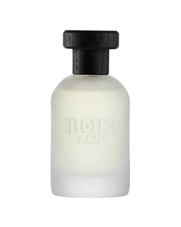 Bois 1920 Classic 1920 woda perfumowana spray, 100ml