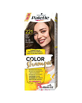 Palette Szampon Koloryzujący 221 Brąz