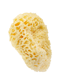HHUUMM Naturalna gąbka 01H (żółta) 17,5cm