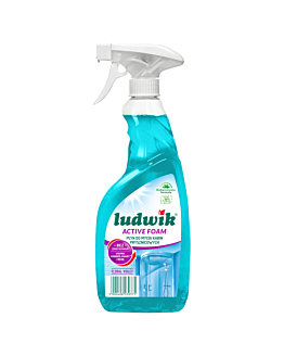 Ludwik Active Foam Floral Violet Płyn do mycia kabin prysznicowych 
