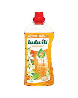 Ludwik Detergente Universale – Arancia con nota di citronella