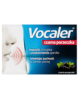 Vocaler Czarna Porzeczka, Pastylki do ssania