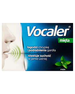 Vocaler Mięta, Pastylki do ssania