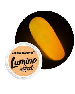 Allepaznokcie Pyłek Do Paznokci Świecący W Ciemności Lumino Effect Nr 5