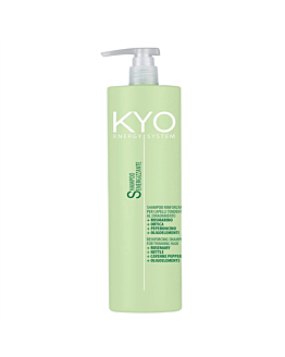 KYO Energy System Shampoo szampon przeciw wypadaniu włosów, 1000ml