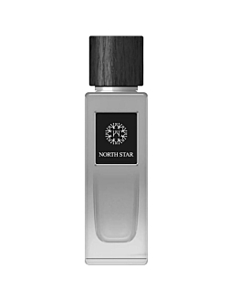 The Woods Collection North Star woda perfumowana spray, 100ml