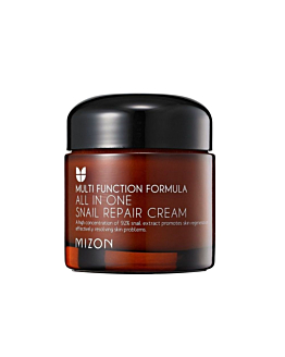 Mizon Multi Function Formula All in One Snail Repair Cream wielofunkcyjny krem do twarzy, 75ml