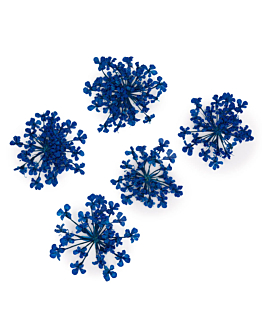 MollyLac Suszone Kwiaty Do Zdobień Paznokci Royal Blue 5 szt