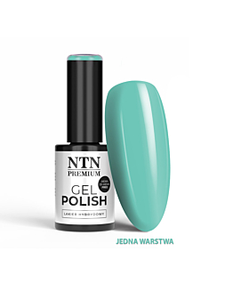 NTN Premium Soft Touch Collection Lakier Hybrydowy LED UV Gel Polish Nr 08 5 g