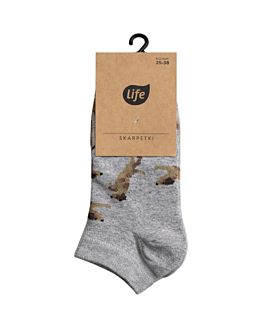 Life stopki bawełniane Hipster, wzór J.R. Terrier gray, rozm. 39-42