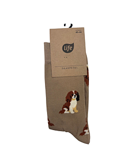 Life Skarpety bawełniane Piesek Cocker Spaniel mocca, rozm. 43-46
