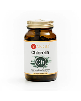Yango Chlorella z rozerwanymi ścianami komórkowymi Kapsułki