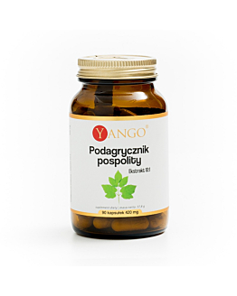 Yango Podagrycznik pospolity Kapsułki