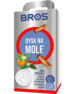 Bros Dysk na mole, Kwiat pomarańczy