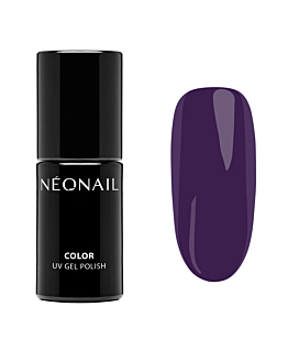 Neonail Lakier hybrydowy, No Risk, No Story 
