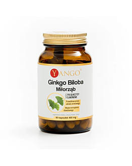 Yango Ginkgo Biloba Miłorząb Kapsułki