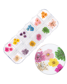 MollyNails Suszone Kwiaty Do Zdobień Paznokci W Kasetce Rodzaj B 36 szt