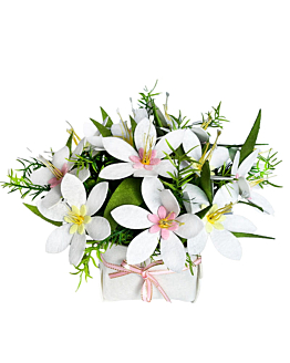 Habarri Kwiaty w koszyku - Flower box DIY - Orchidee białe