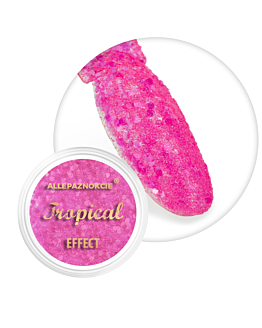 Allepaznokcie Pyłek Do Paznokci Tropical Effect Flamingo 1 g Nr 10