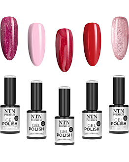 NTN Premium Zestaw Walentynkowy 5x5 g Lakier Hybrydowy Do Paznokci 5w1