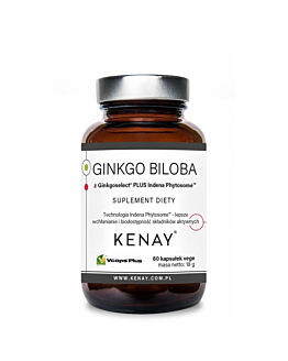 Kenay GinkgoBiloba Ginkgoselect Phytosome