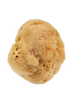 HHUUMM Naturalna gąbka 01F (brązowa) 12,5cm