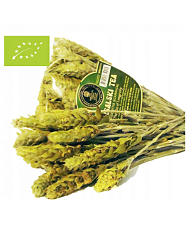 MURSALSKI TEA Gojnik Herbata Mursalska BIO 22 g