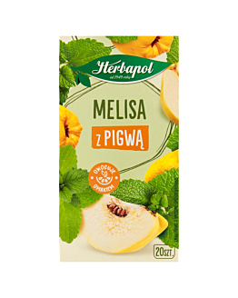 Herbapol Zielnik Polski Herbata, melisa z pigwą
