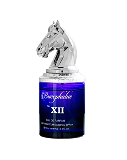 Armaf Bucephalus No. XII woda perfumowana spray, 100ml