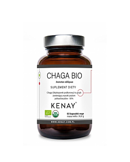 Kenay Suplement diety chaga BIO błyskoporek podkorowy Inonotus obliquus