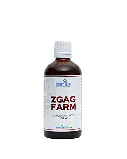 Invent Farm Zgag Farm