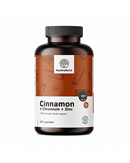 Healthy World Cynamon z chromem i cynkiem, 240 kaps.
