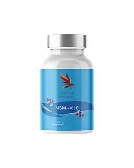 Carnium Botanicals MSM z witaminą C, 90 kaps.